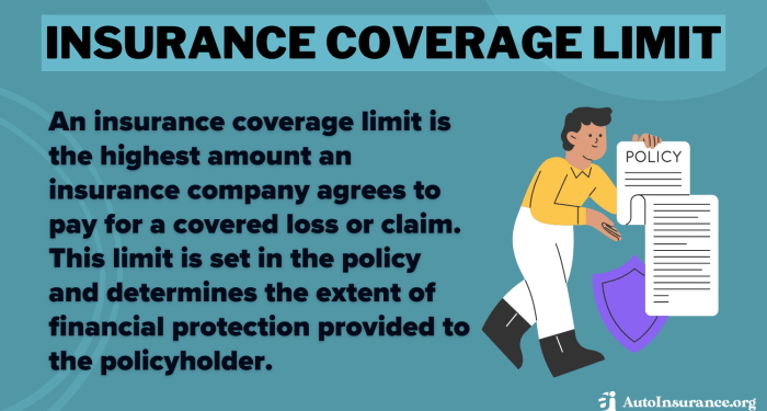 Insurance Coverage Limit in 2025 (Important Details Explained ...