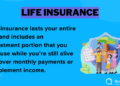 Best Life Insurance for Expats in 2025 (Top 10 Companies) | QuickQuote.com