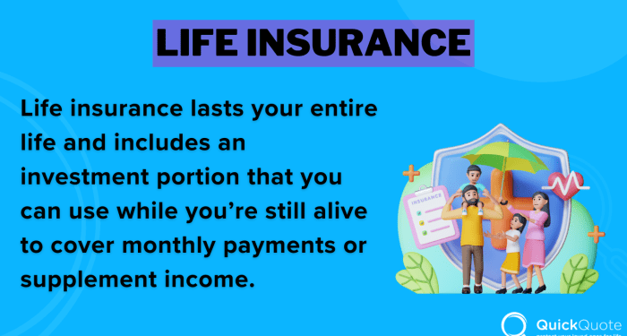 Best Life Insurance for Expats in 2025 (Top 10 Companies) | QuickQuote.com